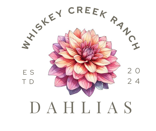 Whiskey Creek Ranch Dahlias