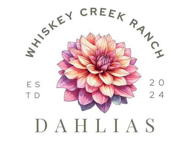 Whiskey Creek Ranch Dahlias 